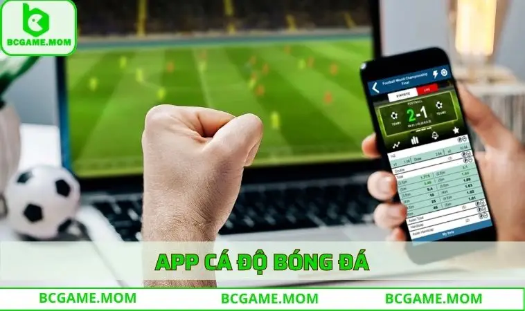 App cá độ bóng đá