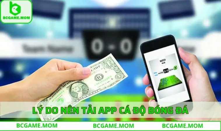 Lý do nên tải app cá độ bóng đá